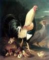 unknow artist Cock hen and chicken oil painting picture
